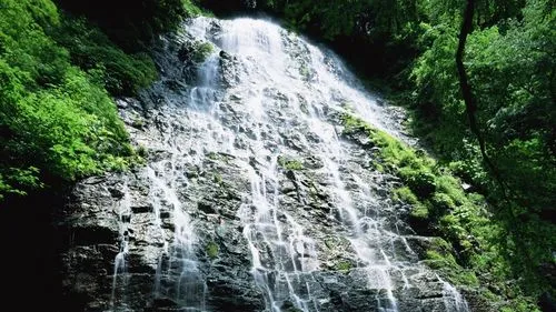 高质量高效无人化